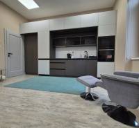 Kitchen in a studio apartment with a wood-patterned floor and a comfortable armchair.