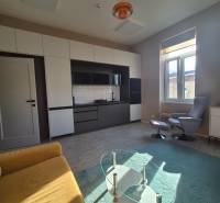 Living room in a studio apartment with wood-patterned flooring, a sofa, and a glass table.