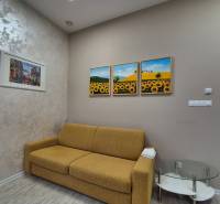 Living room of a studio apartment, with a couch and paintings, on a floor with a wooden decor.