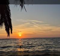 Sunset over the sea, palm leaves in the foreground, appreciating signs for real estate.