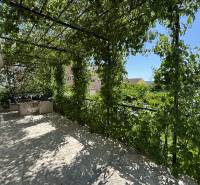 Terrace of a family house in Čiovo with a pergola covered in greenery and outdoor seating.