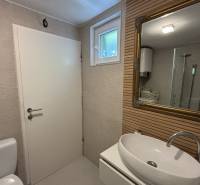 A bathroom in a family house with a sink, a mirror, and a shower enclosure.