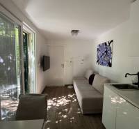 Interior of a family house with a sofa, decorative painting, and kitchen unit.
