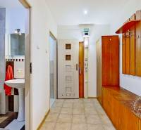 Entrance hall in a 3-room apartment with a bathroom, bright interior with wooden elements.