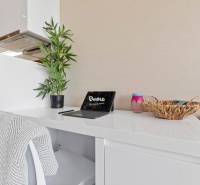 A workspace with a white desk, a laptop, a plant, and a blanket in a 2-room apartment.