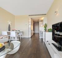 Living room with wood-patterned flooring, dining table, and television in a two-room apartment.