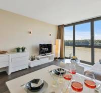 Living room in a two-room apartment with a view of the river and a floor with a wooden decor.