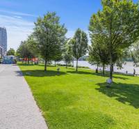 Park greenery by the river on Pribinova Street in Bratislava - Old Town.