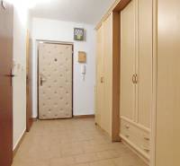 A hallway in a 2-room apartment with a large wardrobe and security door.