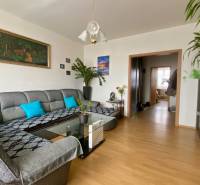 Living room in a 3-room apartment with a sofa, wood-patterned flooring, and decorations.