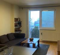 Living room in a two-room apartment with a sofa, table, and floor with wooden decor.