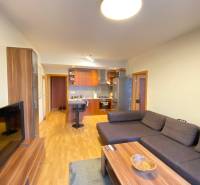 Living room in a two-room apartment with a wooden decor floor and a sofa.