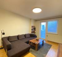 Living room in a two-room apartment with a wooden decor floor and a comfortable couch.