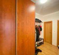 Entrance hallway of a 2-room apartment with a wooden decor floor and a large wardrobe.
