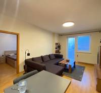 Living room in a two-room apartment with a sofa and a wooden-patterned floor.