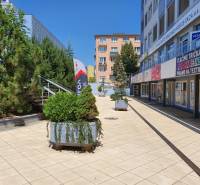 Offices on Letná Street, Košice - Sever district, with greenery and shops.
