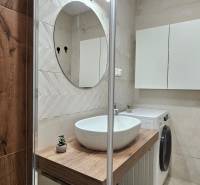 Bathroom in a studio apartment with a sink, shower, and washing machine, floor with wood decor.