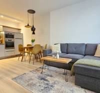 Living room with kitchen in a studio apartment. Gray sofa and floor with wooden decor.