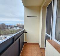 A balcony with a view of greenery and the city skyline from a studio apartment.