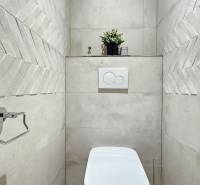 Bathroom in a studio apartment with modern tiles and a decorative plant.