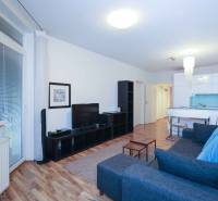 Living room of a two-room apartment with a wood-patterned floor and stylish furniture.