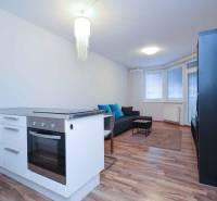 Kitchen corner and living room in a 2-room apartment with a stove and a sofa.