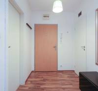 Entrance hall of a 2-room apartment with a wooden decor floor and a mirror.