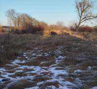 A plot of land on Hodská Street in Galanta with grass cover and remnants of snow.
