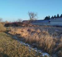 Residential plots on Hodská Street in Galanta with grass cover and several shrubs.