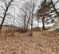 The residential plot in Veľká Bytča is covered with leaves and surrounded by trees.