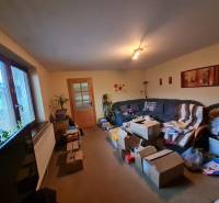 Living room in a family house with cardboard boxes, a sofa, and decorations on the walls.
