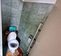 A bathroom with a toilet in a family house, tiled with light green tiles.