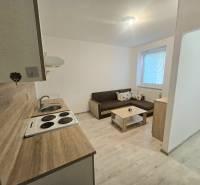 1-bedroom apartment with a kitchenette and a sofa, floor with wood decor.