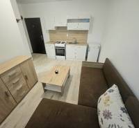 Kitchen area of a one-room apartment with a wooden decor floor and a sofa.