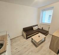 Living room in a studio apartment with a sofa, kitchenette, and wooden decor flooring.