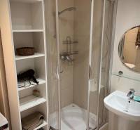 Bathroom in a 2-room apartment with a corner shower, sink, and white shelf.