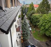 A bird's-eye view of greenery and parked cars in Bratislava - Ružinov on Budovateľská Street.