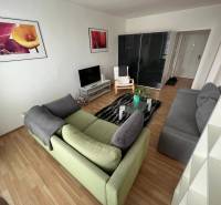 Living room in a two-room apartment with a sofa, television, and paintings on the walls.