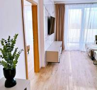 Interior of a 3-room apartment with wood-patterned flooring, TV, and curtains.