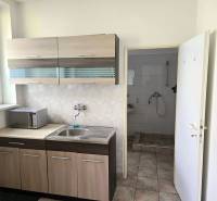 A kitchenette with a microwave and a sink in commercial premises, next to a bathroom with a shower.