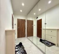 Entrance hall in a 2-room apartment with a shoe cabinet and a mirrored wall, cladding in wood decor.