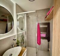 Bathroom with shower, sink, and storage space in a 3-room apartment.