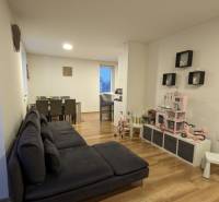 Living room in a two-room apartment with a wooden decor floor and a children's corner.