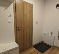 Entrance hallway in a 2-room apartment, wooden decor flooring, and practical coat hooks.