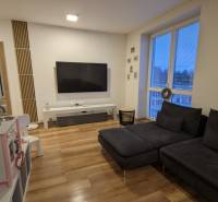 Living room in a two-room apartment with a dark sofa and a wooden decor floor.