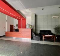 Reception in offices with a red ceiling, sofas, and plants.