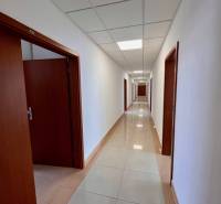 Offices with a long corridor and doors on both sides.