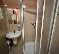 Shower corner and sink in the bathroom of rental offices.