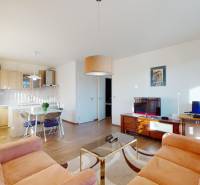 Living room with a kitchenette, sofas, and a wooden decor floor in a 2-room apartment.