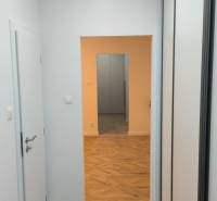 A narrow hallway with a built-in wardrobe and a wooden decor floor in a 4-room apartment.